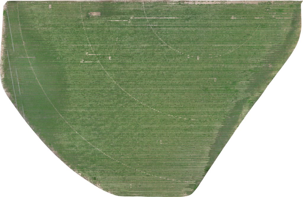 Aerial image of the South Pivot.