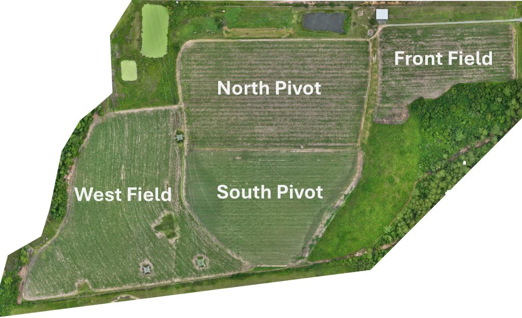 Drone flight image from June 2025 of the DATA Farm. The West Field, South Pivot, North Pivot, and Front Field are labeled. West Field and South Pivot are both mostly green, indicating plant growth. North Pivot and Front Field are approximately half green and half bare soil, indicated less vegetation in the two fields.