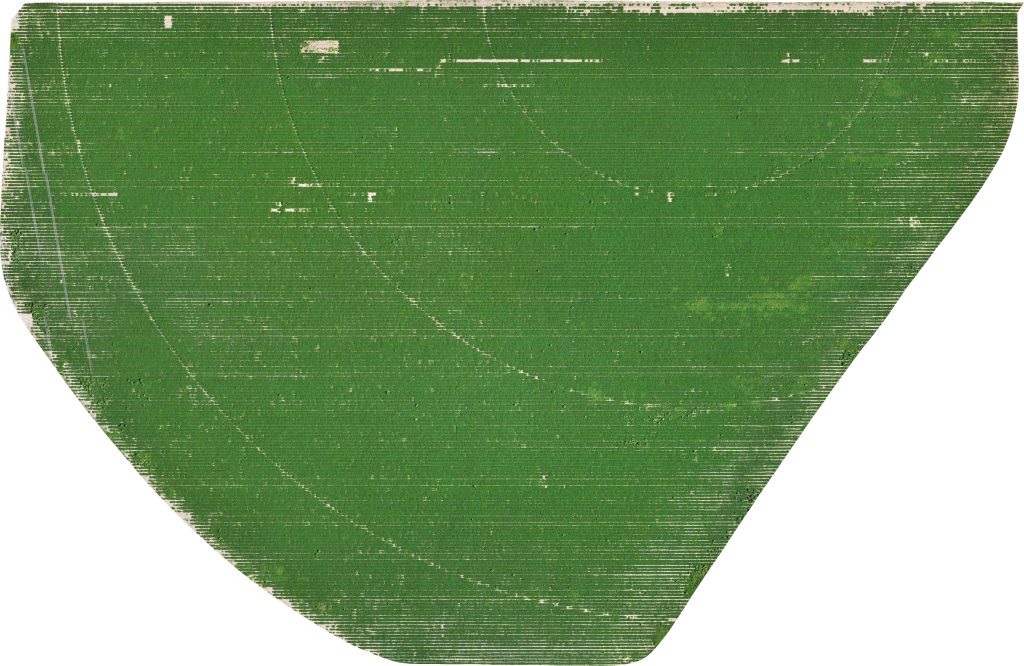 Drone image of the South Pivot field, which is a bright green.