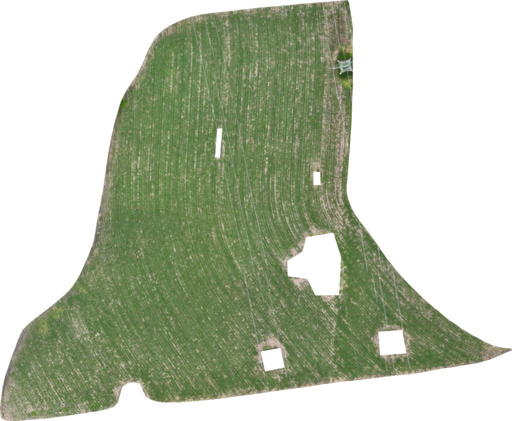 Aerial image of the West Field.
