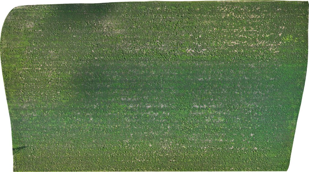 drone image of the north Pivot field