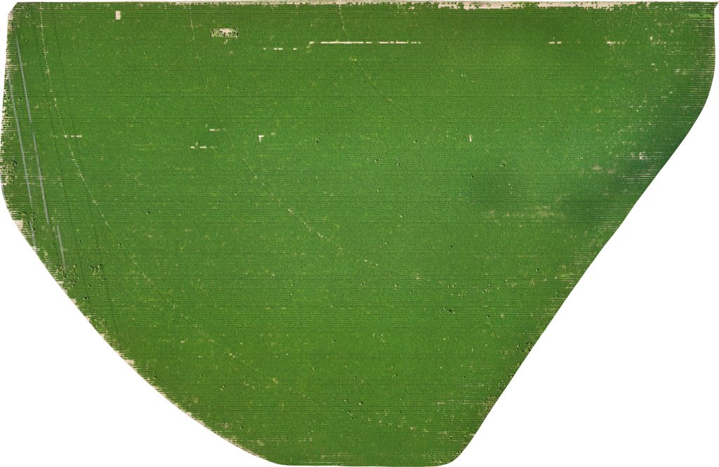 drone image of the South pivot field