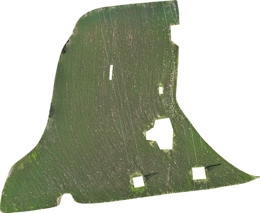 drone image of the West Field