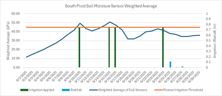 Graph showing that the weighted average of soil sensors triggered the peanut irrigation threshold twice in September and irrigation was consequently applied on 9/1/25, 9/15/25, and 9/16/25. Irrigation was also applied on 9/24/25, despite the irrigation threshold not quite being triggered; it was very close, however, so irrigation was applied slightly before the sensors would have reached the threshold.