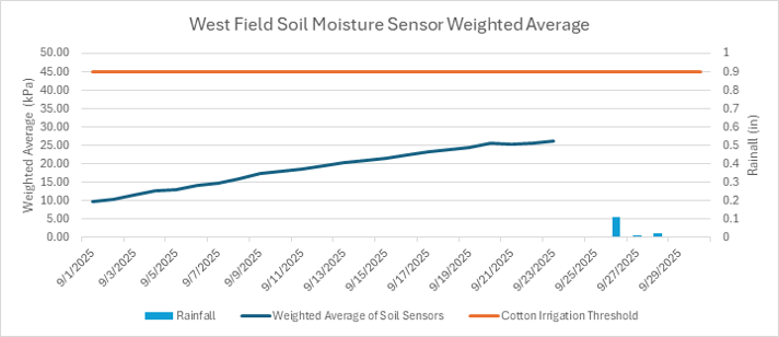 The soil sensors did not reach the cotton irrigation threshold and no irrigation was applied.