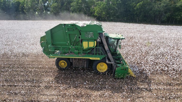 John Deere CP770 roller picker in cotton field, harvesting cotton