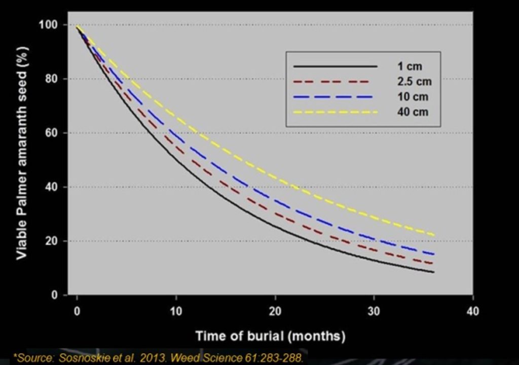 Graph comparing Viable Palmer amaranth seed (%) against time of burial (months), showing that viability of the seed decreases with time. Shallower burial is associated with lower seed viability.